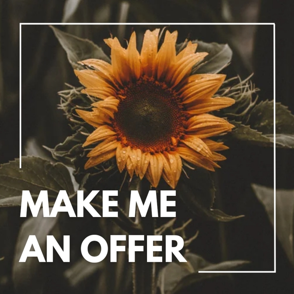 •Make Me an Offer•